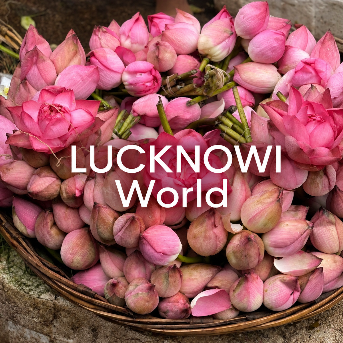 LUCKNOWI WORLD